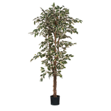 Ficus Kunstplant - H180 x Ø90 cm - Groen Bont