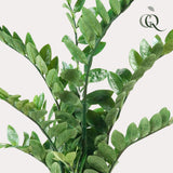 Kunstplant Zamioculcas