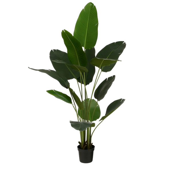 Kunstplant Bananenboom in Pot - H180 x Ø30 cm - Groen