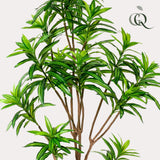 Kunstplant - Dracaena