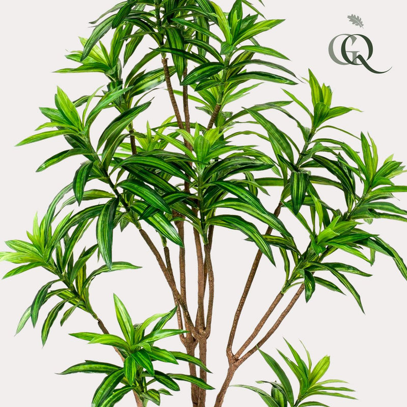 Kunstplant - Dracaena