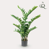 Kunstplant Zamioculcas
