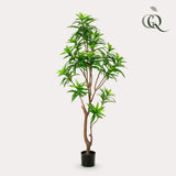 Kunstplant - Dracaena