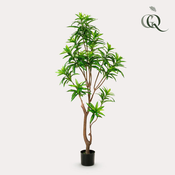 Kunstplant - Dracaena