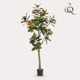 Kunstplant - Magnoliaboom