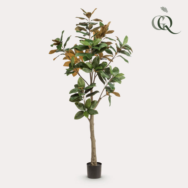 Kunstplant - Magnoliaboom