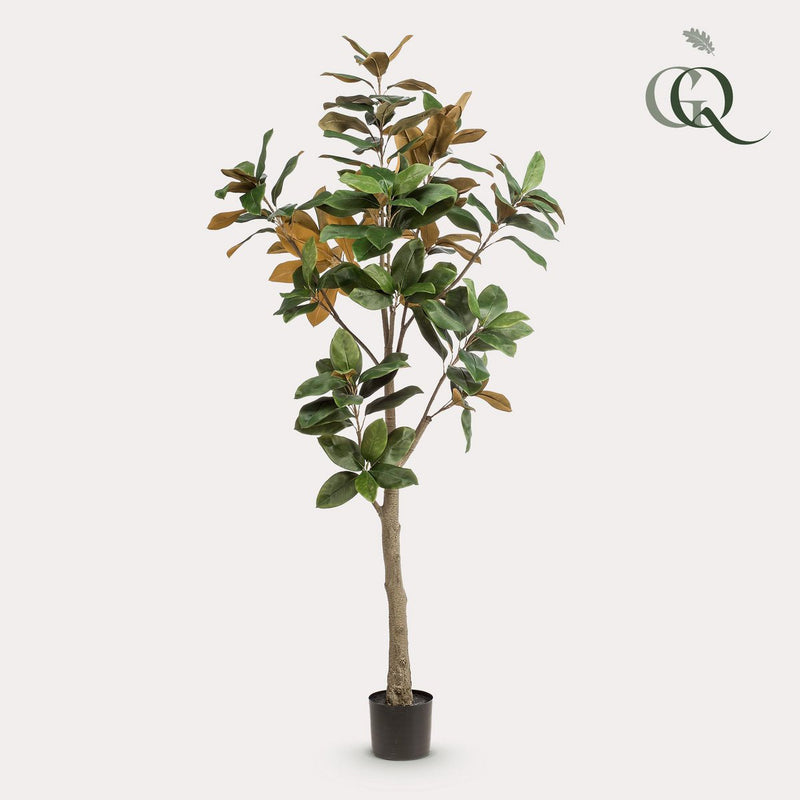 Kunstplant - Magnoliaboom