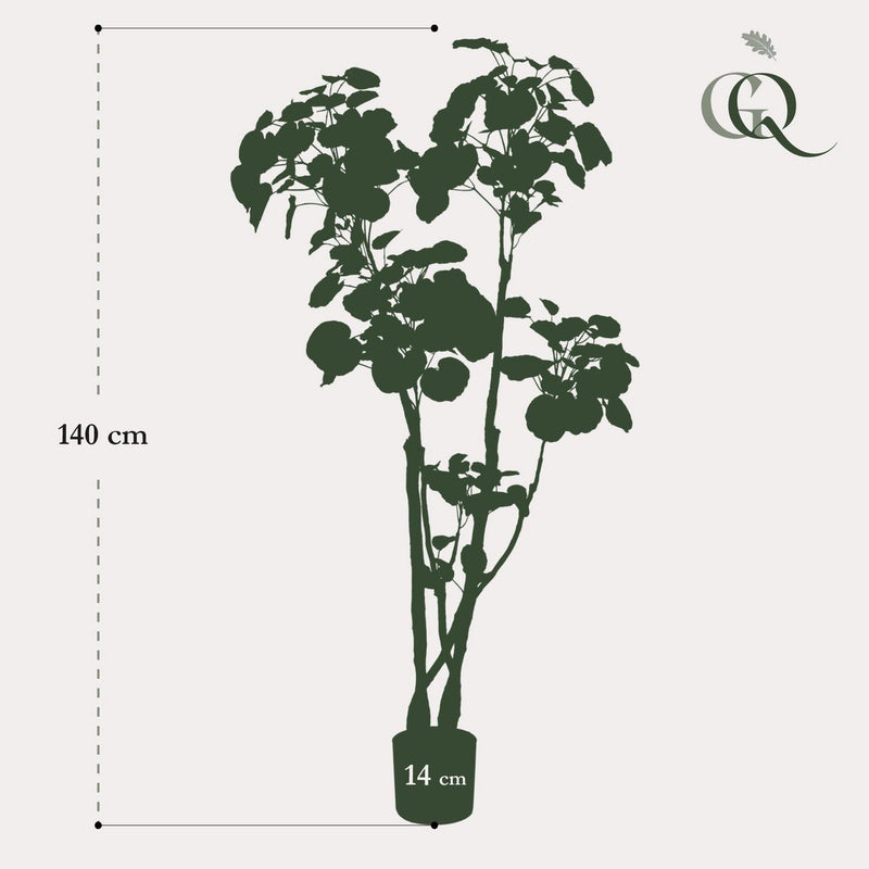 Kunstplant - Polyscias - Aralia - 135 cm