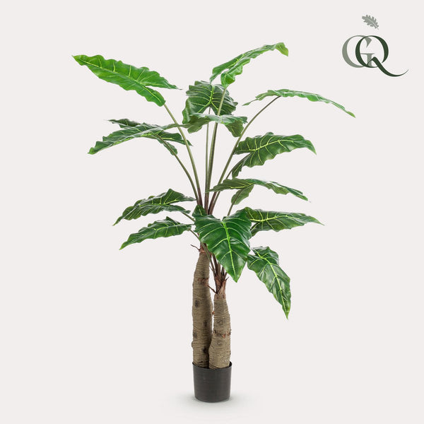 Kunstplant - Alocasia