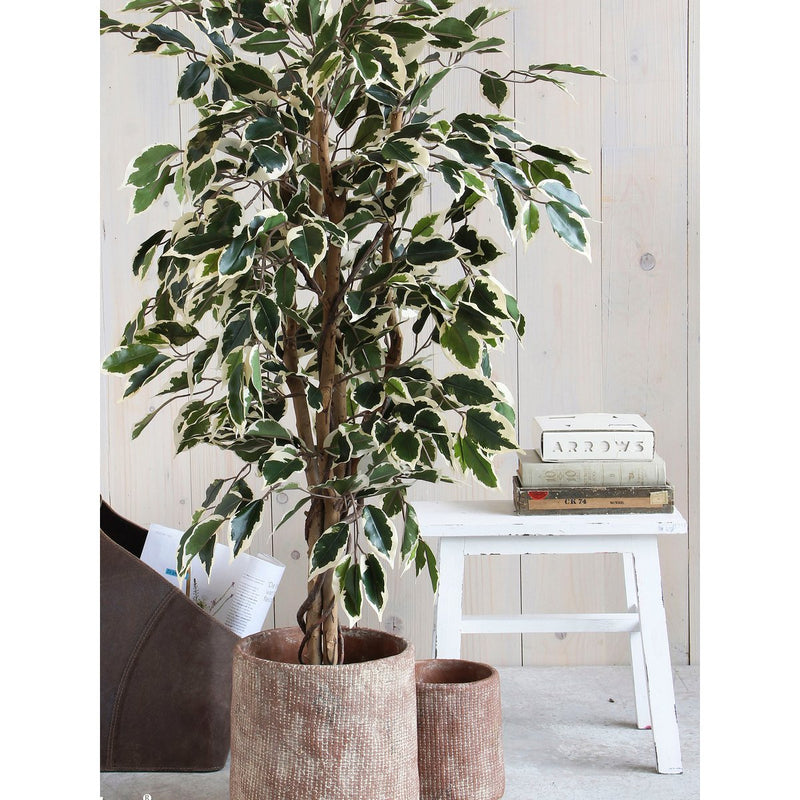 Kunstplant - Ficus