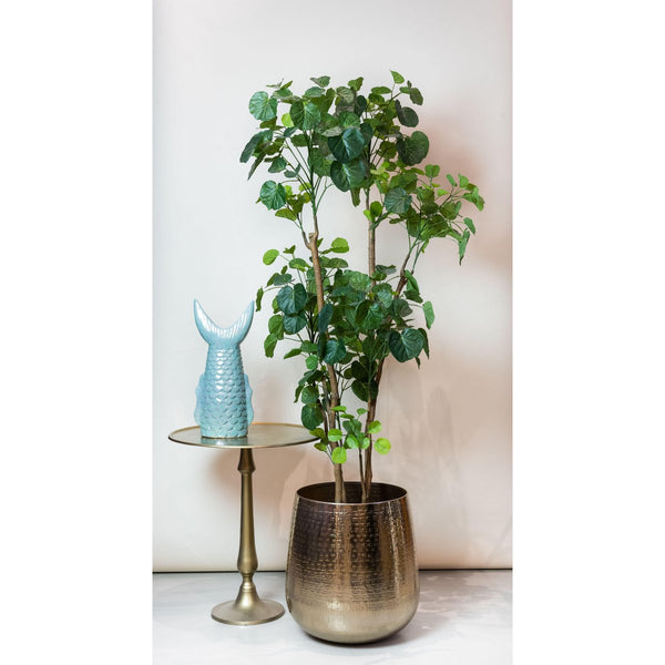 Kunstplant - Polyscias - 160 cm
