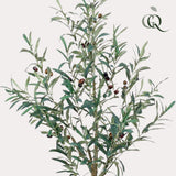 Kunst Olijfboom - 115cm