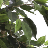 Kunstplant - Ficus
