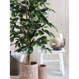 Ficus Kunstplant - H150 x Ø85 cm