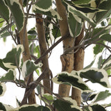 Kunstplant - Ficus