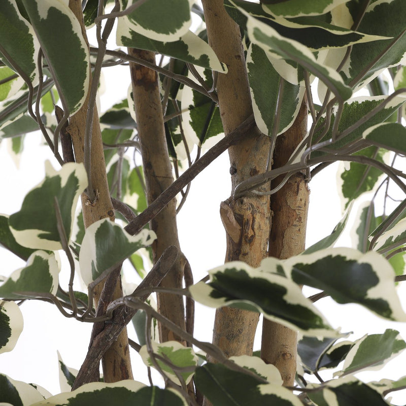 Kunstplant - Ficus