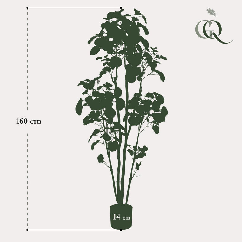 Kunstplant - Polyscias - 160 cm