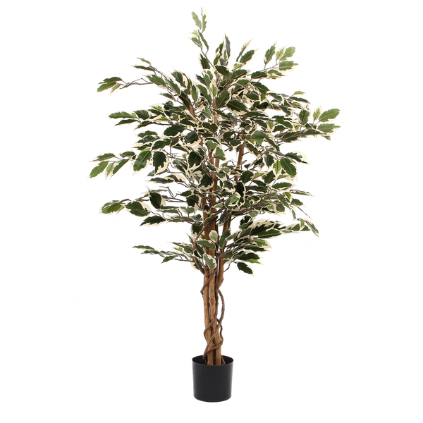 Kunstplant - Ficus