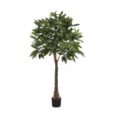 Pachira Kunstplant - H120 x Ø50 cm - Groen