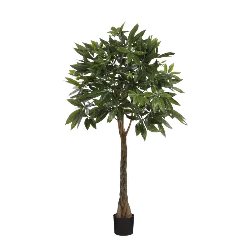 Pachira Kunstplant - H120 x Ø50 cm - Groen