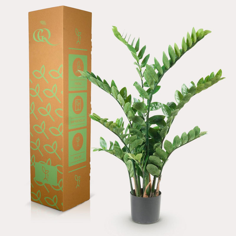 Kunstplant Zamioculcas