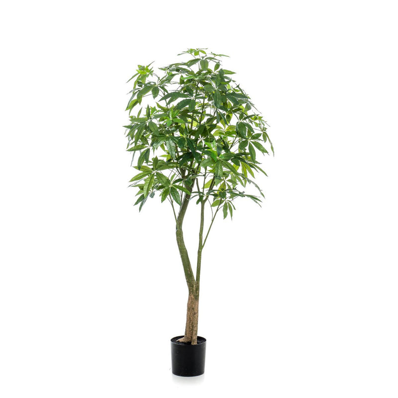 Kunstplant - Pachira Aquatica - Geldboom - 180 cm