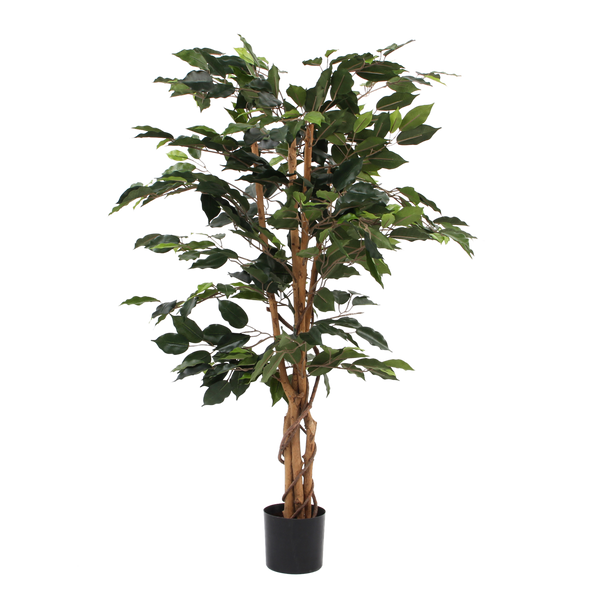 Kunstplant - Ficus