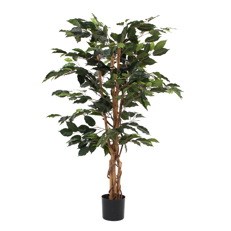 Kunstplant - Ficus
