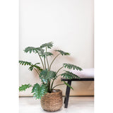 Kunstplant - Philodendron - 105 cm