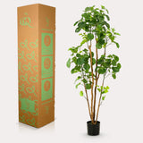 Kunstplant - Polyscias - 160 cm
