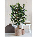Kunstplant - Ficus