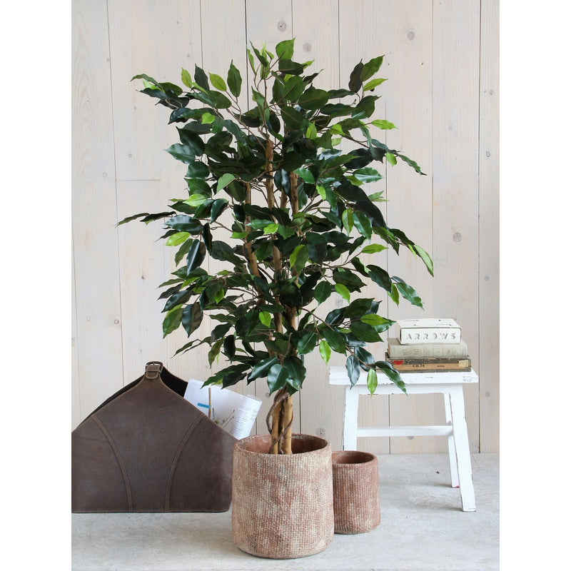 Kunstplant - Ficus