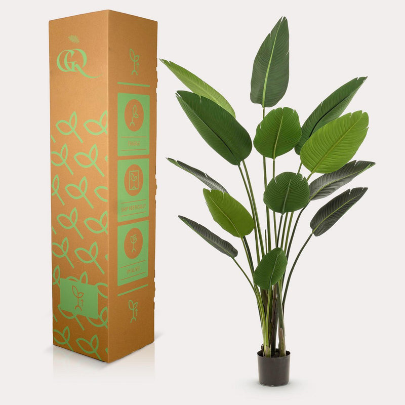 Kunstplant - Strelitzia Nicolai - 190 cm