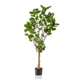 Kunstplant - Polyscias - 150 cm