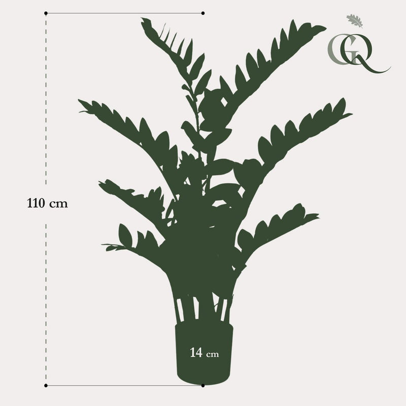 Kunstplant Zamioculcas