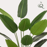 Kunstplant - Strelitzia Nicolai - 190 cm
