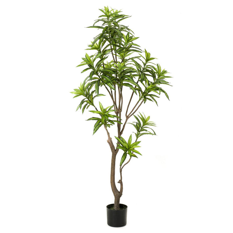 Kunstplant - Dracaena