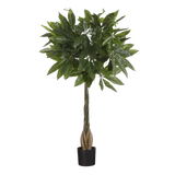 Pachira Kunstplant - H80 x Ø60 cm - Groen