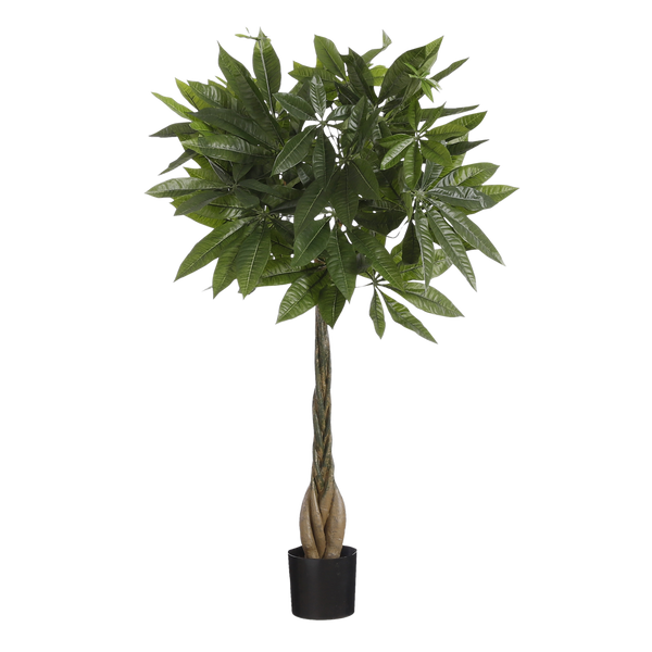 Pachira Kunstplant - H80 x Ø60 cm - Groen