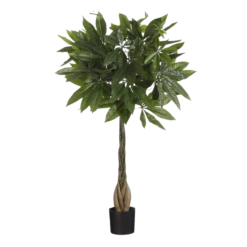 Pachira Kunstplant - H80 x Ø60 cm - Groen