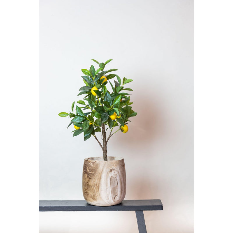 Kunstplant - Citroenboom
