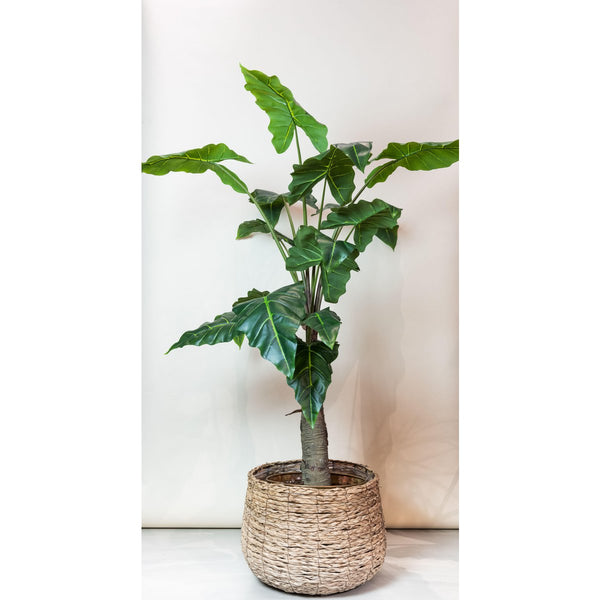 Kunstplant - Alocasia