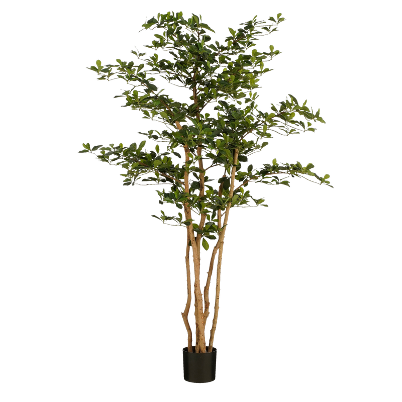 Kunstplant Olijfboom in Pot - H183 x Ø130 cm - Groen
