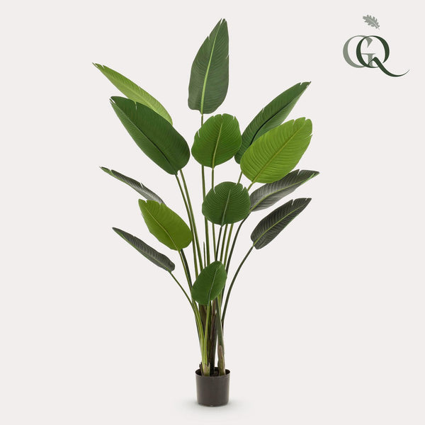 Kunstplant - Strelitzia Nicolai - 190 cm