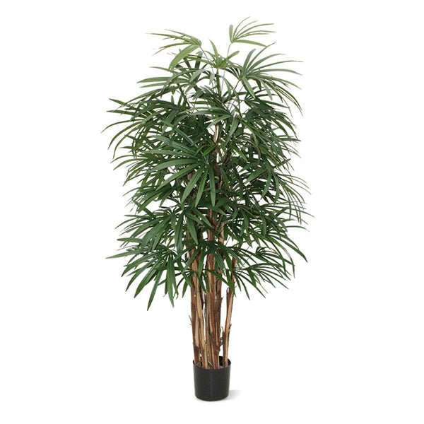 Kunstplant Raphis