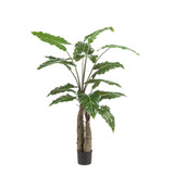 Kunstplant - Alocasia