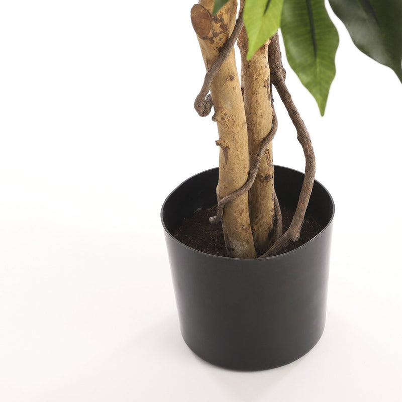 Kunstplant - Ficus